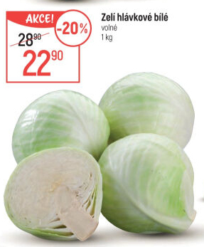 Zelí hlávkové bílé
