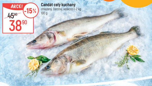 Candát obecný kuchaný