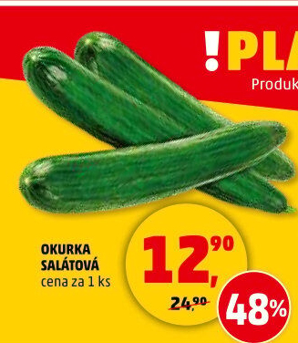 Okurka salátová - hadovka