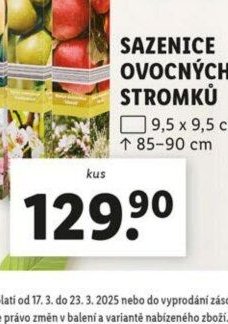 SAZENICE OVOCNÝCH STROMKŮ