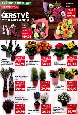 akční leták Kaufland 19.3.2025-25.3.2025