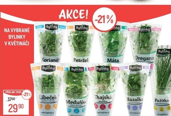 Bylinky v květináči Bylinky s.r.o.
