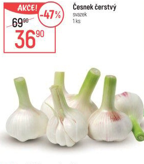 Česnek čerstvý svazek