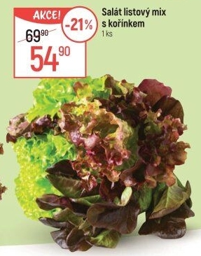 Salát listový mix