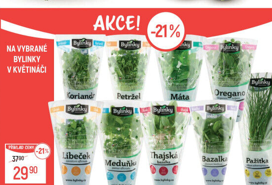 Bylinky v květináči Bylinky s.r.o.