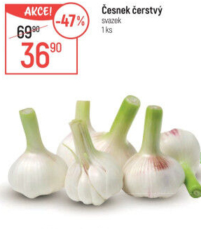 Česnek čerstvý svazek