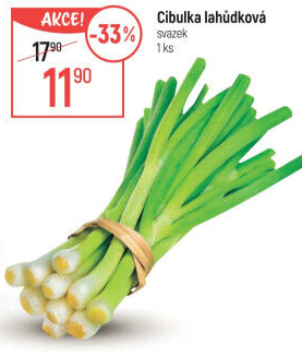 Jarní cibule svazek