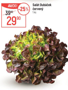 Salát Dubáček červený