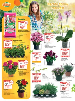 akční leták Globus 19.3.2025-14.4.2025