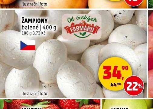 ŽAMPIONY