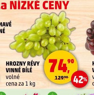 HROZNY RÉVY VINNÉ BÍLÉ