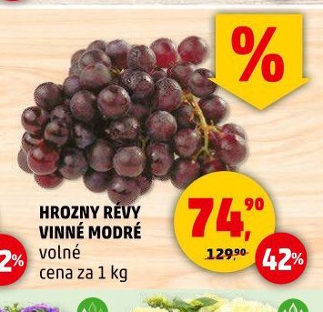 HROZNY RÉVY VINNÉ MODRÉ