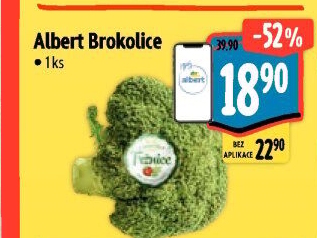 Brokolice Albert