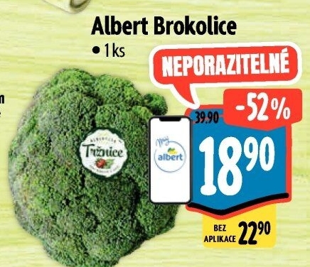 Brokolice Albert