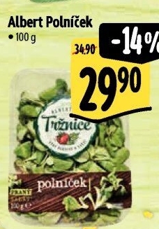 Salát polníček Albert