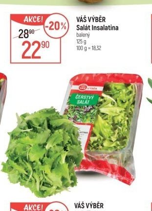 VÁŠ VÝBĚR Salát Insalatina
