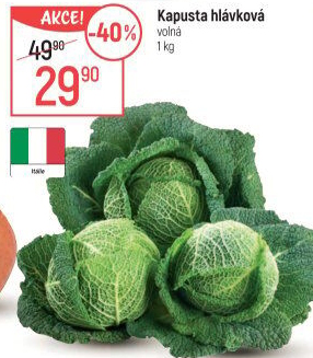 Kapusta hlávková