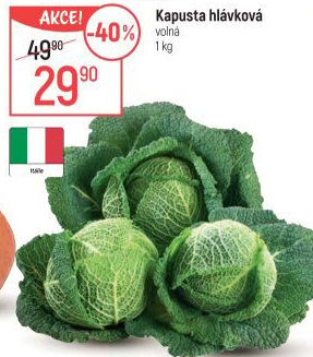 Kapusta hlávková