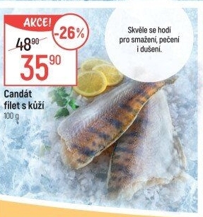 Candát filety