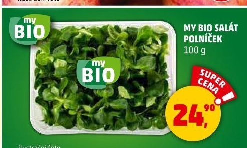 Salát polníček My BIO