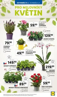 akční leták Lidl 31.3.2025-2.4.2025