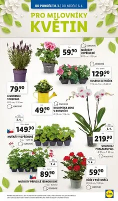akční leták Lidl 31.3.2025-6.4.2025