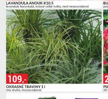 OKRASNÉ TRAVINY 1 l