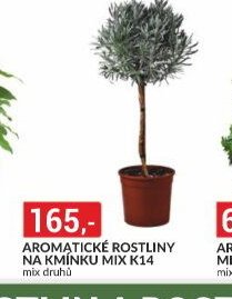 AROMATICKÉ ROSTLINY NA KMÍNKU MIX K14