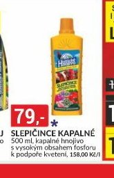 SLEPIČINCE KAPALNÉ