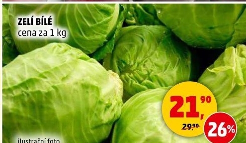 Zelí hlávkové bílé