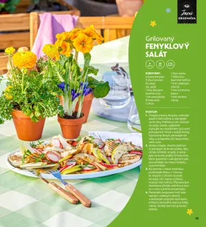 akční leták Albert 2.4.2025-30.4.2025