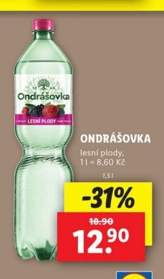 Ondrášovka lesní plody
