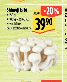 Shimeji bílé