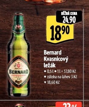 Bernard Kvasnicový ležák