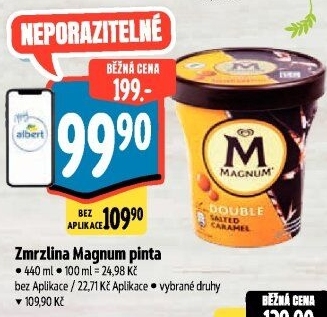 Zmrzlina v kelímku Magnum Algida