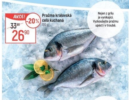 Pražma královská kuchaná