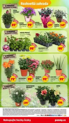 akční leták Penny Market 10.4.2025-23.4.2025