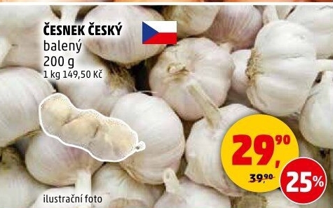 Česnek český
