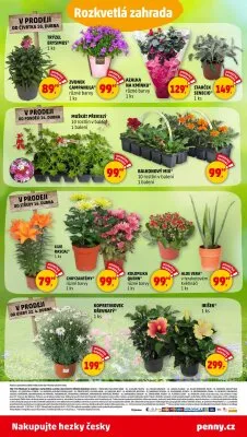 akční leták Penny Market 10.4.2025-23.4.2025