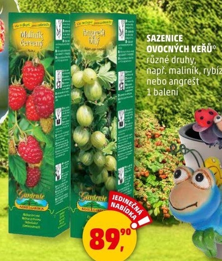 Sazenice ovocných keříků Nohel Garden