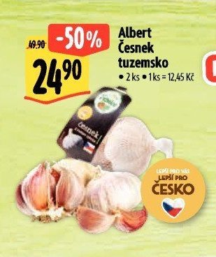 Albert Česnek tuzemsko