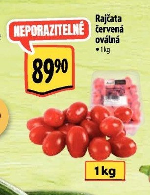 Rajčata červená oválná