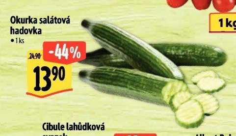Okurka salátová hadovka