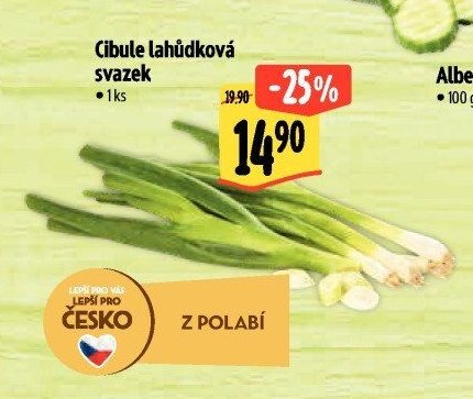 Cibule lahůdková svazek