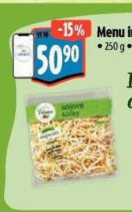 Menu inspirace Sójové klíčky