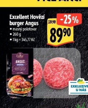 Excellent Hovězí burger Angus