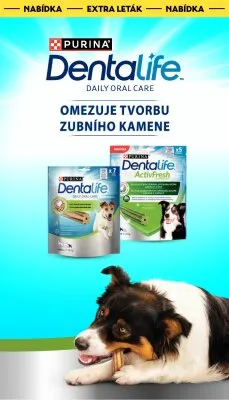 akční leták Albert 16.4.2025-20.4.2025