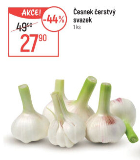 Česnek čerstvý svazek