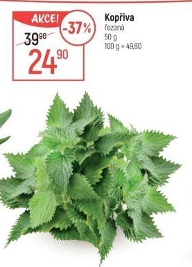 Kopřiva čerstvá