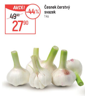 Česnek čerstvý svazek